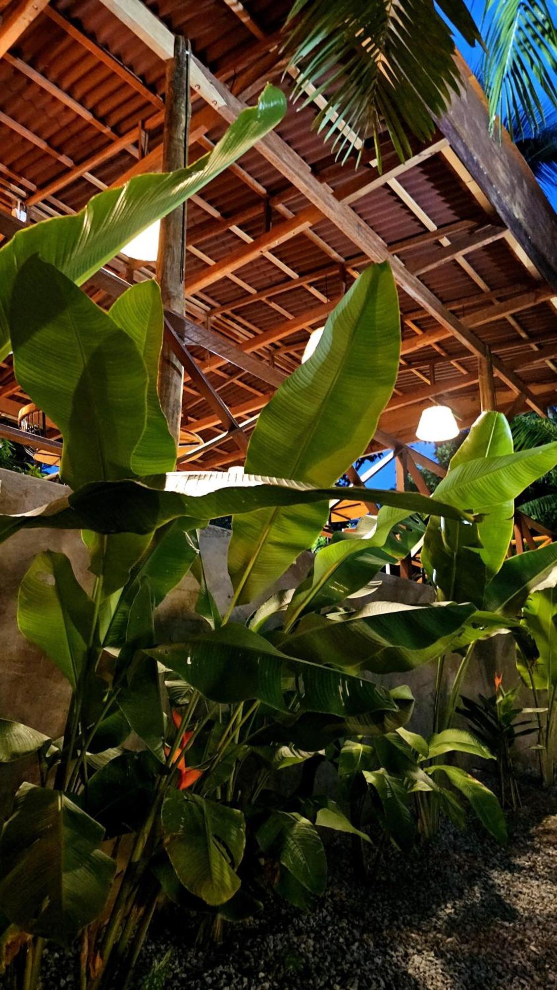 Casa Dunas *