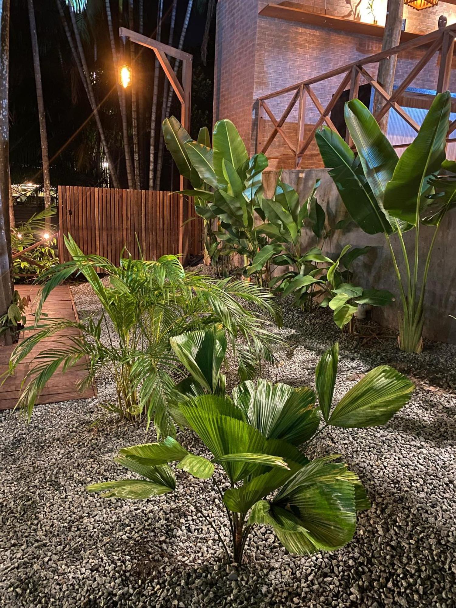 Casa Dunas 招待所